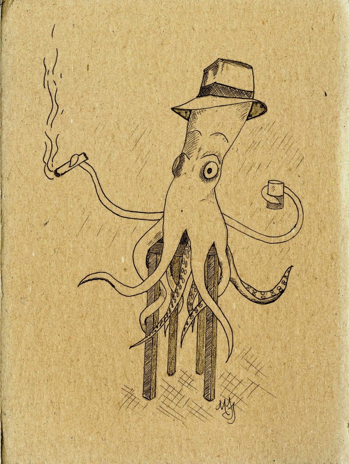 Hotwater Longcycle SD