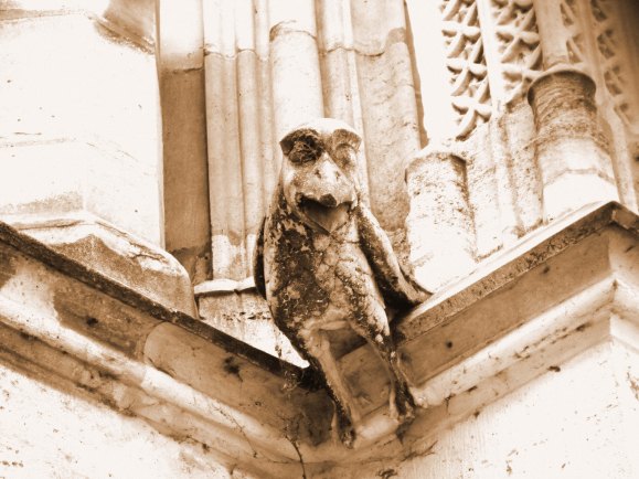 gargoyle_edited-1