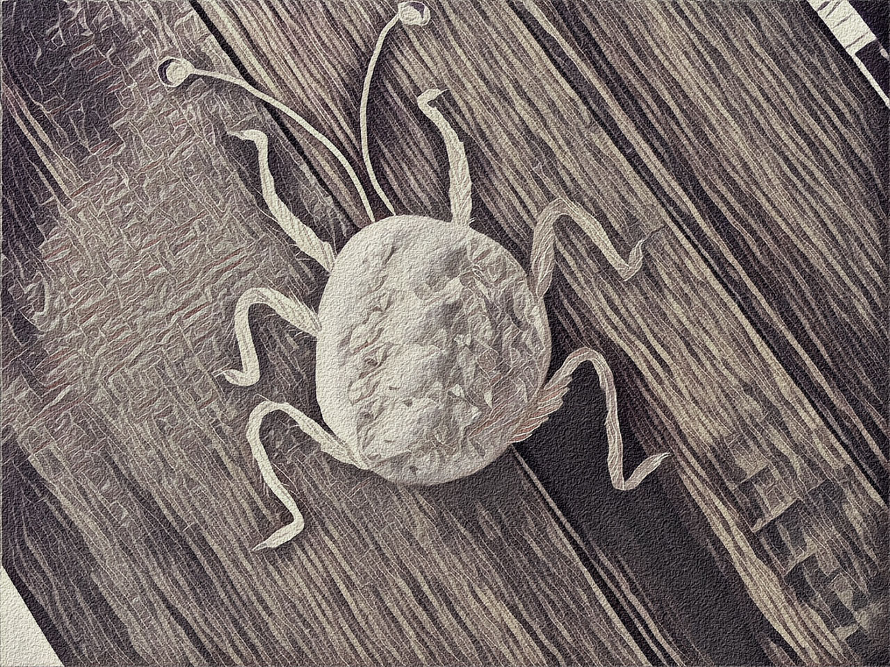 PAairpart11bug prisma