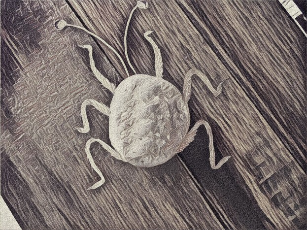 PAairpart11bug prisma