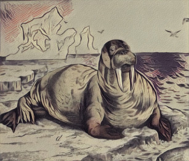 Victorian Walrus